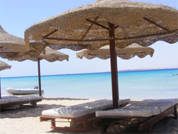 Sahl Hashish